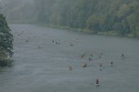 gal/  Regata_2026/_thb_245.jpg